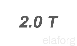 20t